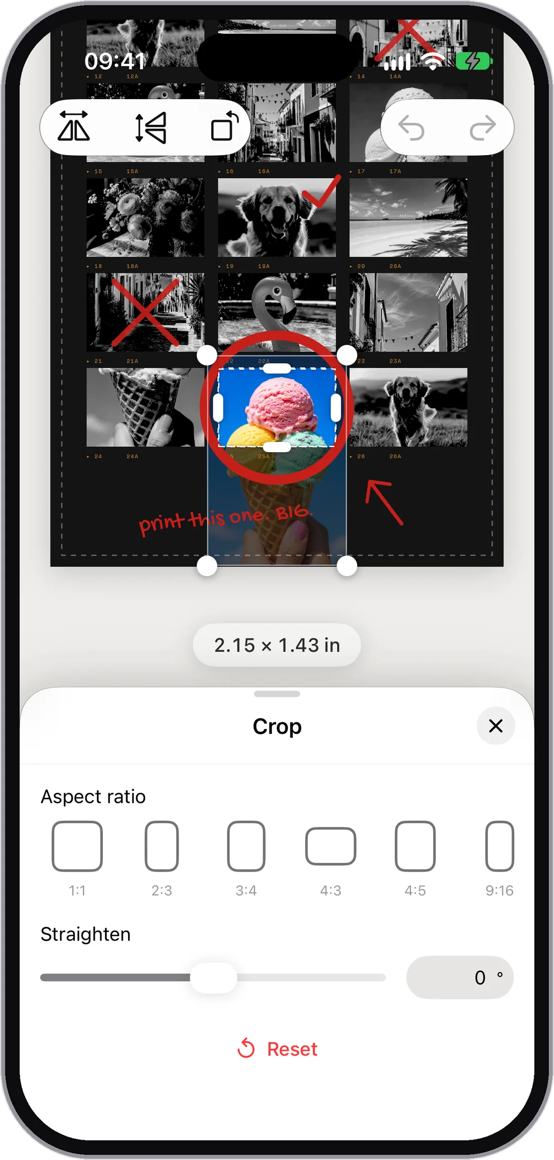 The Crop panel with aspect ratio presets and a straighten slider.