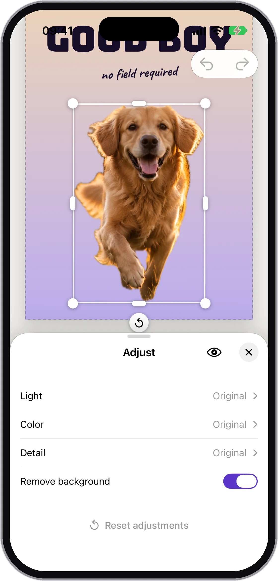 The Adjust panel with Remove background switched on.