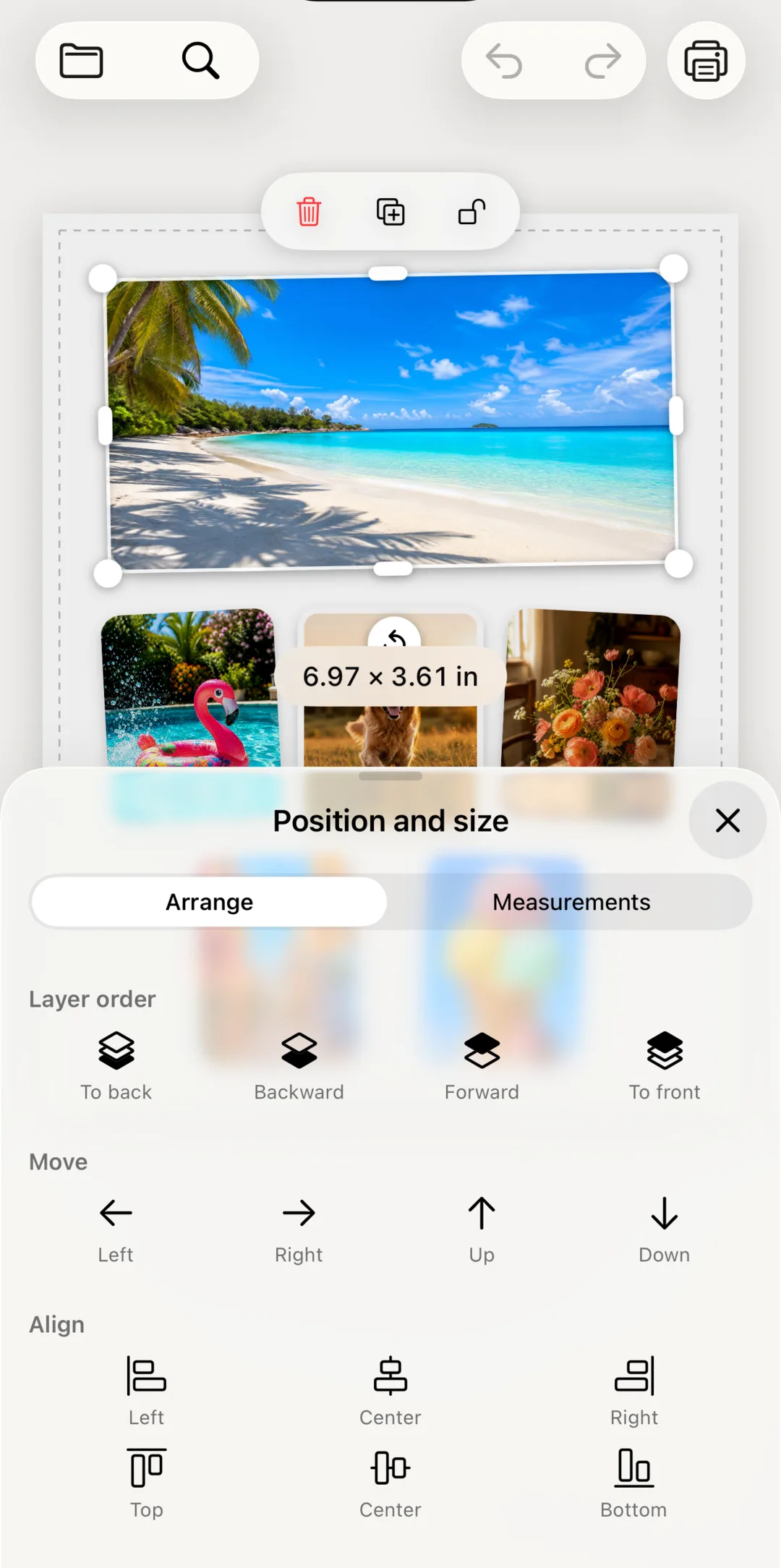 A photo being resized with its exact dimensions shown in inches