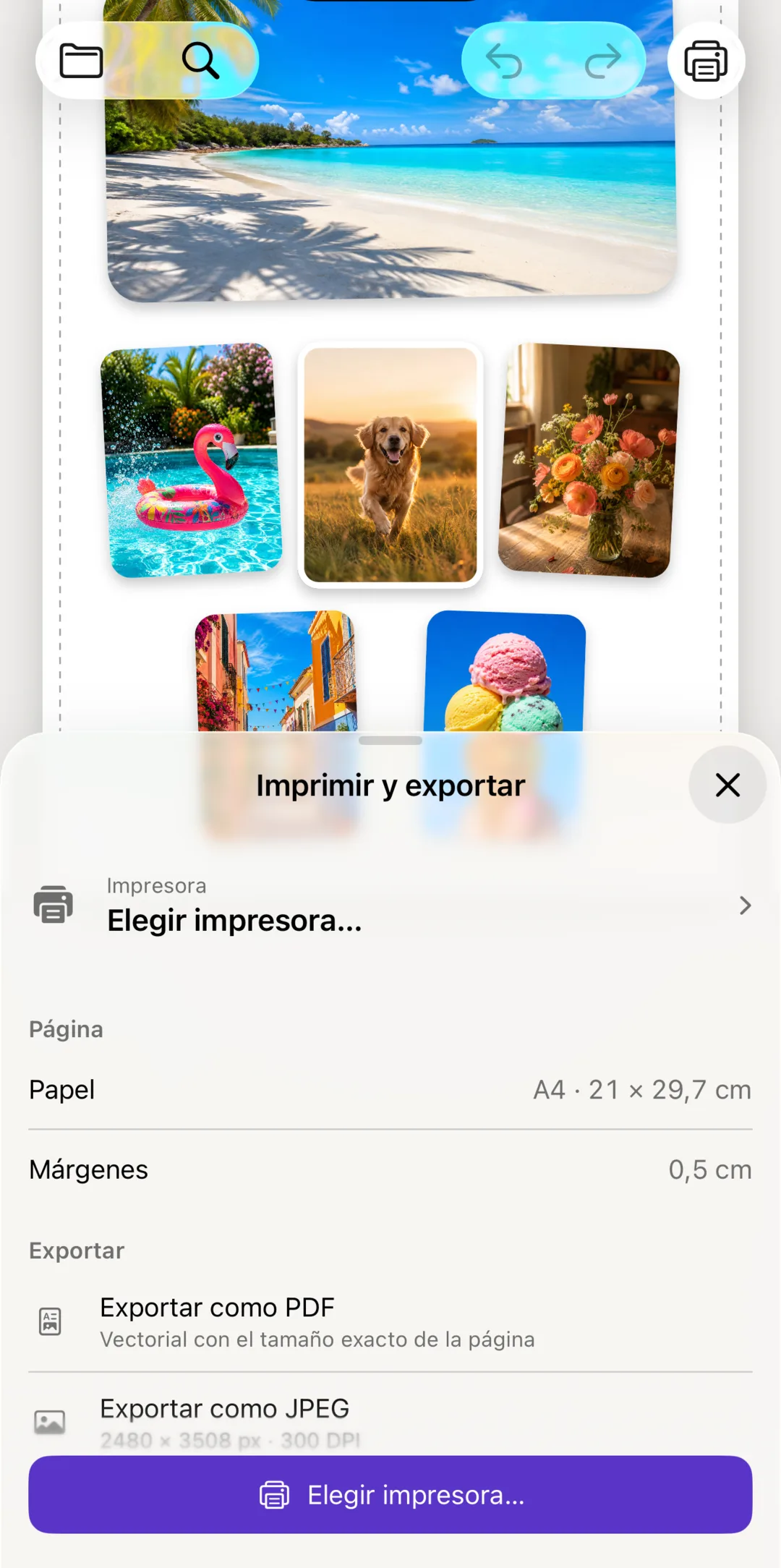 La herramienta Imprimir con opciones de impresora, papel y exportación