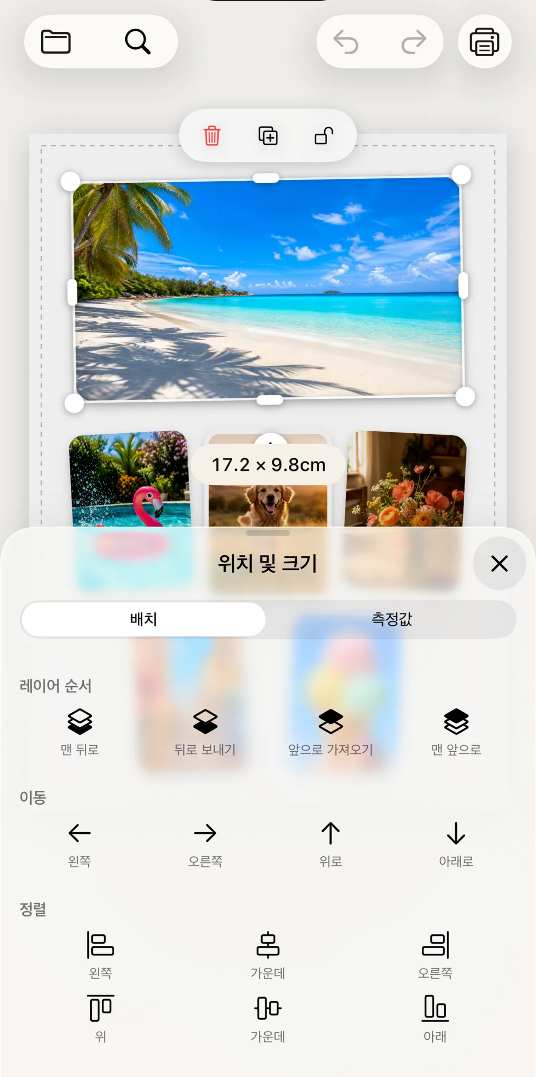 정확한 치수를 보며 사진 크기를 조절하는 화면