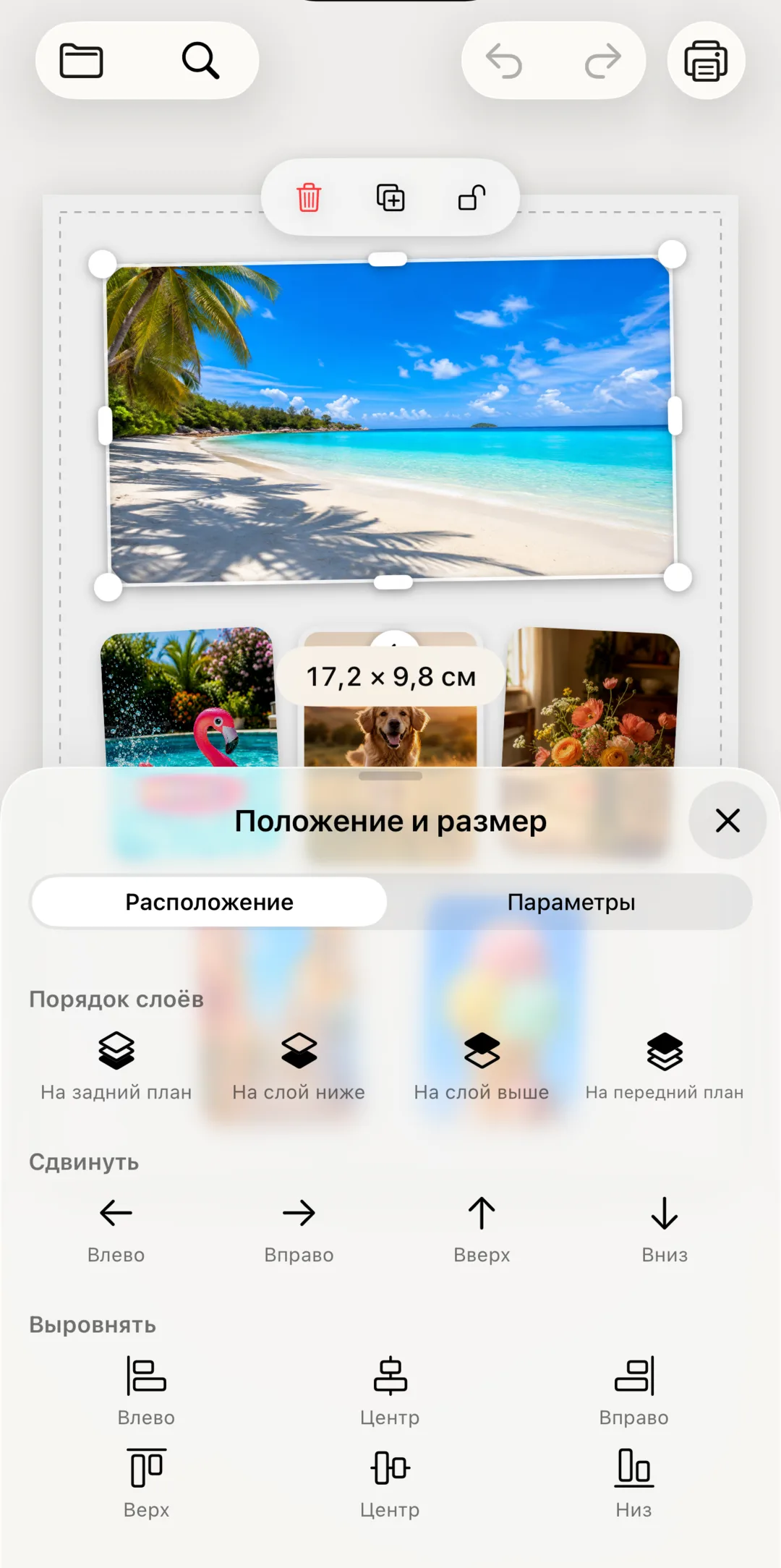 Изменение размера фотографии с показом точных размеров