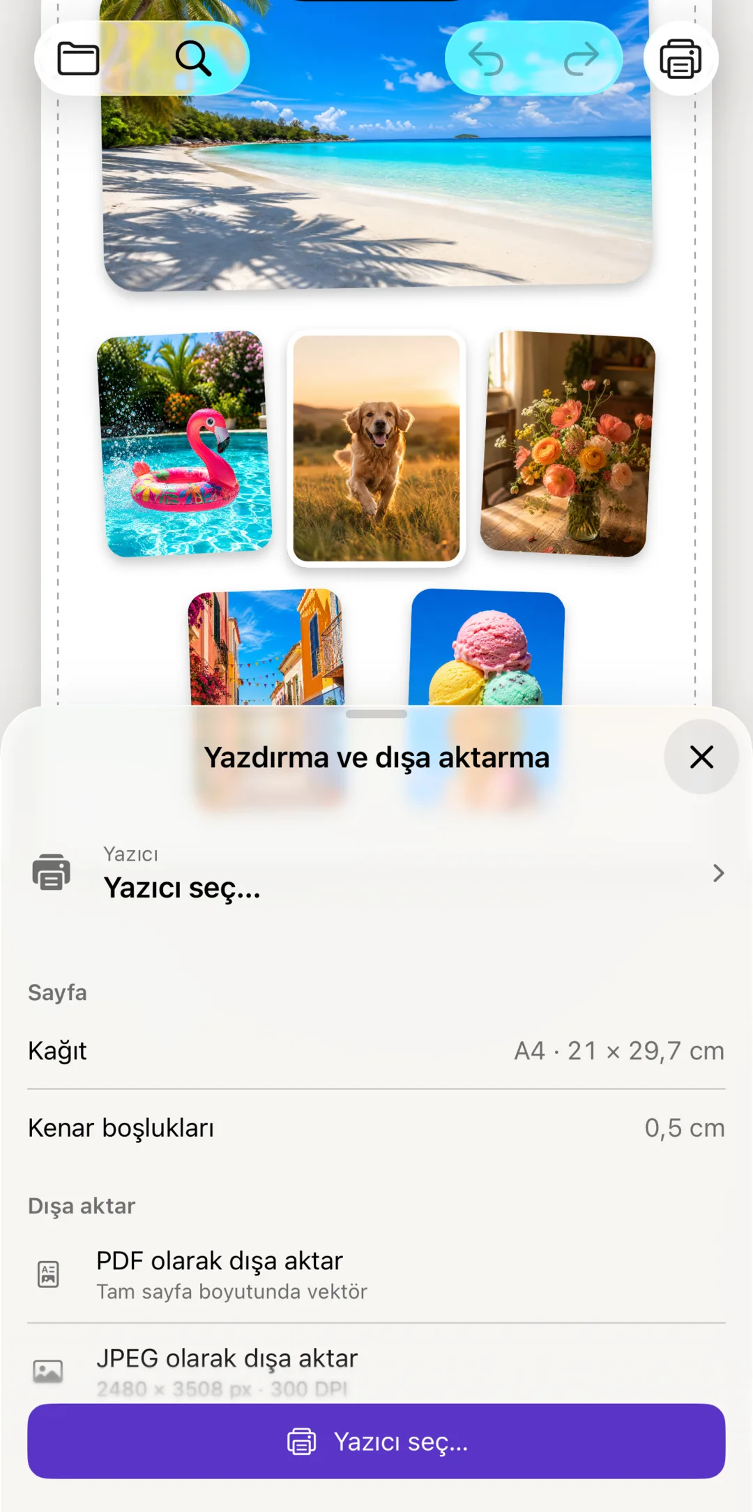Yazıcı, kağıt ve dışa aktarma seçeneklerini gösteren Yazdır aracı