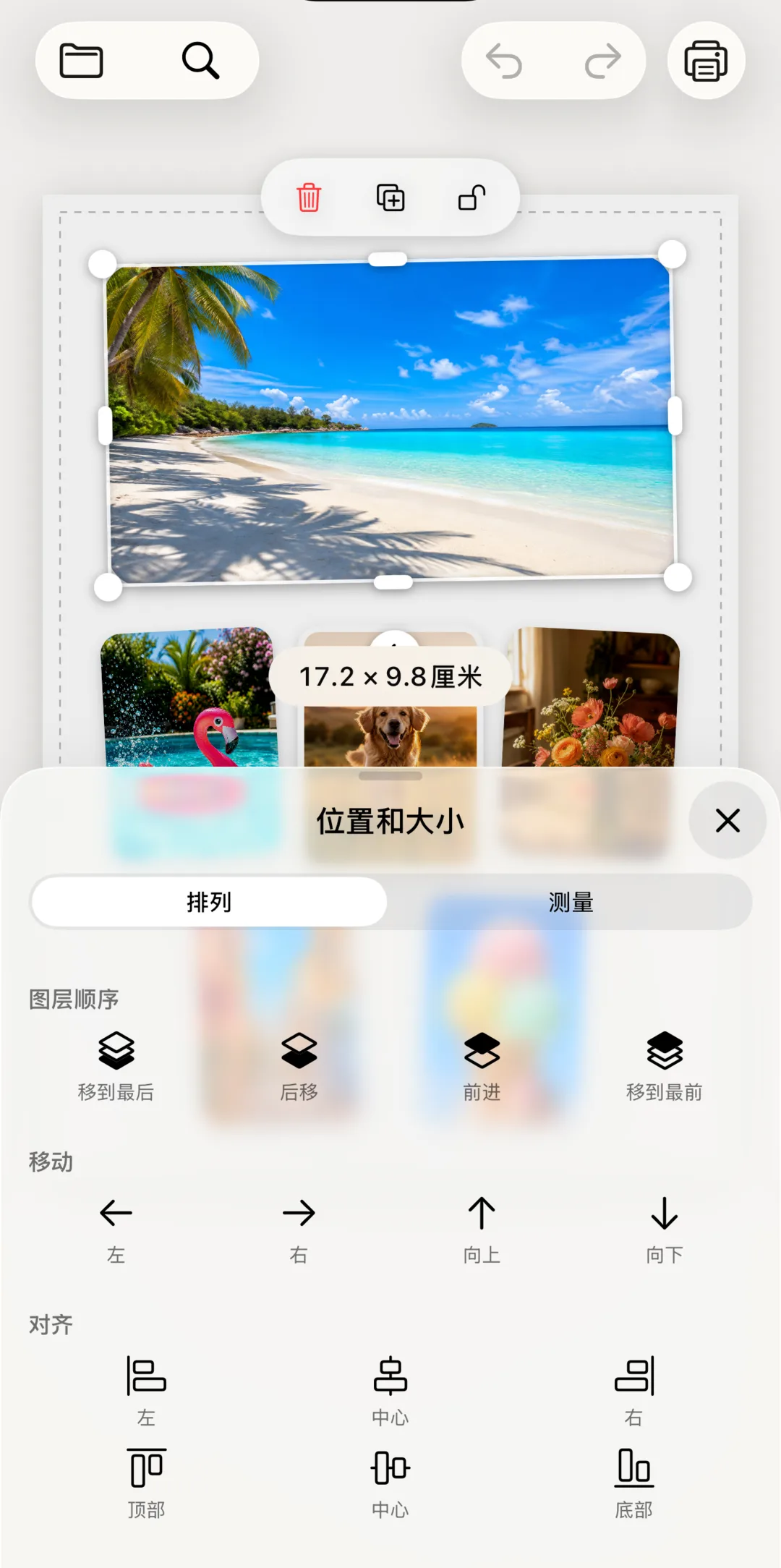 照片正在调整大小，画面显示准确尺寸